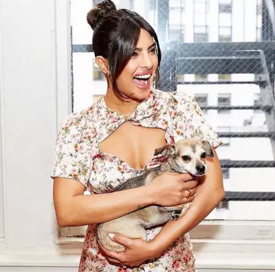 From Priyanka Chopra's Diana to Taylor Swift's Olivia: A Look at Celebrity Pets