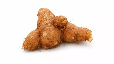 GI Tag Approved for Telangana's Sajjapur Chamadumpa Mango Variety