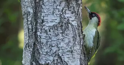 Global Photo Highlights: From Ganga's Receding Waters to Baisakhi Prayers
