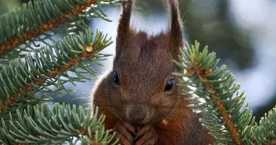 Global Photo Roundup: Easter Eggs, Eurovision Security, and Dramatic Skies