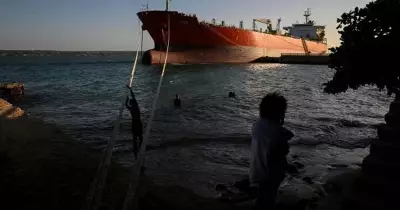 Global Photo Roundup: From Syria's Soap Factories to Kashmir's Tulip Gardens