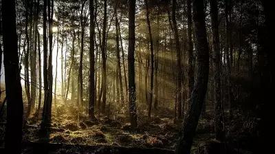 Government Eases Baseline Data Mandate for Environmental Impact Assessments