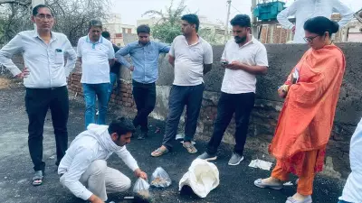 Haryana's Balsamand Sub Grain Market Faces Inspection Over Substandard Material Claims