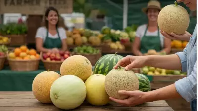 How to Choose a Sweet and Ripe Melon: Expert Tips for Perfect Fruit