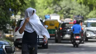IMD Issues Heatwave Alert for Delhi, UP, and 5 Other States