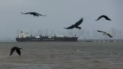 India Denies Using Cash or Crypto for Hormuz Passage, Clarifies After Ship Incident