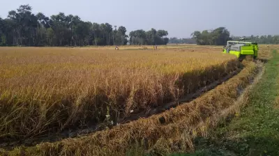 India Kharif Fertiliser Supply Strong at 193 Lakh Tonnes Amid West Asia Crisis