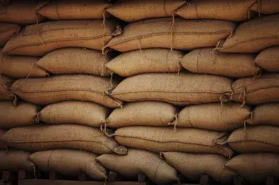 India Maintains Robust Food Grain Buffer Stock Amid West Asia Crisis, Assures Government