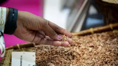 India Plans Wheat Exports to Egypt, Indonesia, Myanmar Amid Surplus Stocks