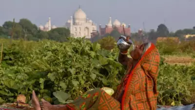 India's Wild Weather Swing: From 45°C to Thunderstorms in Hours
