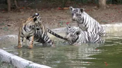 Indore Schools Advance Summer Break as Mercury Hits 42.2°C