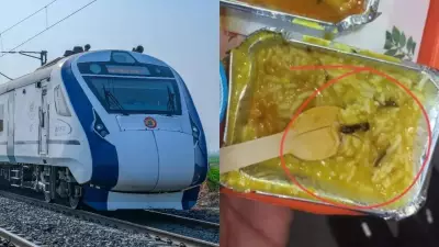Insect Found in Vande Bharat Meal: IRCTC Slaps ₹10 Lakh Fine on Vendor