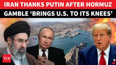 Iran Praises Russia's UN Veto on US-Backed Hormuz Security Resolution