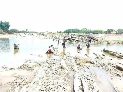 Irular Families Scour Dried Varada River for Gold Particles in Haveri