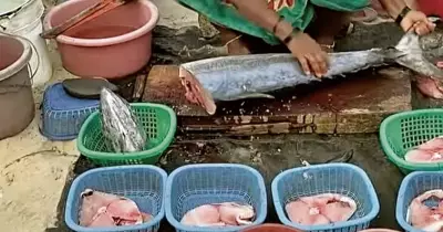 Ishwana: The Seasonal Coastal Delight of the Arabian Sea