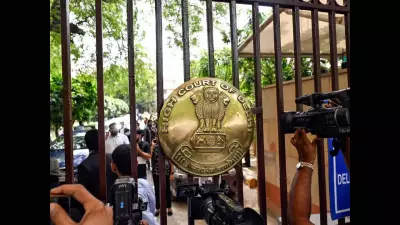 Jaipur Gallery Owner Convicted After 17-Year Shahtoosh Shawl Smuggling Case