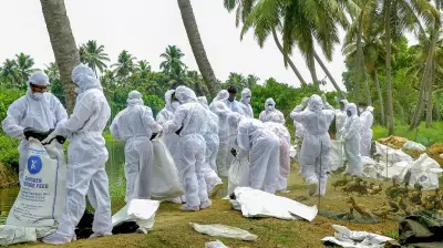 Karnataka Completes 10-Day H5N1 Bird Flu Surveillance and Containment