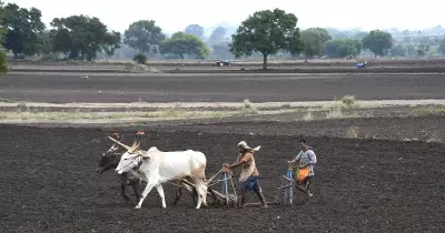 Karnataka Study Validates Carbon Credit Benefits for Farmers, Boosts Sustainable Agriculture
