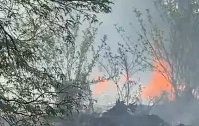 Kerala Fireworks Factory Blast Kills 4, Injures Many in Thrissur