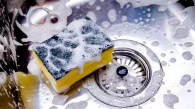 Kitchen Sponge Danger: Why Wet Sponges Breed Pathogens and When to Replace