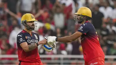 Kohli and Padikkal Anchor RCB's Successful Chase in IPL