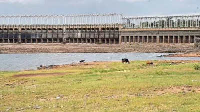 KRS Dam Water Level Drops Below 100 Feet, Raising Concerns in Karnataka
