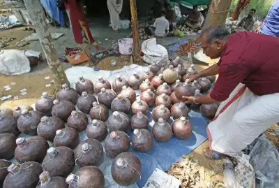 KSSP Urges Kerala Govt to Ban Gunpowder Fireworks After Tragic Blaze