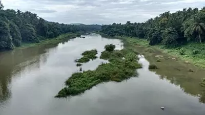 Kunthipuzha River: India's 'Silent River' Flows Through Pristine Silent Valley