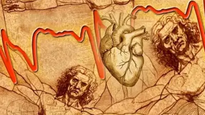 Leonardo da Vinci's Heart Discovery: 500-Year-Old Mystery of Trabeculae Solved