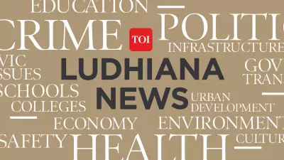 Ludhiana Residents Enjoy Cool Relief as IMD Issues Yellow Alert for Weekend