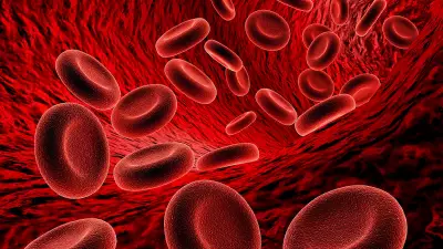 Medical Experts Warn: Excess Free Radicals in Blood Cause Cellular Damage