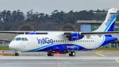 Monkey on runway forces IndiGo flight to abort take-off in Lucknow