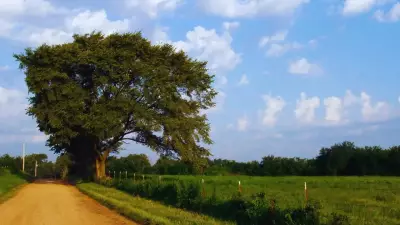 Munger, Bihar Tops India's Clean Air List with AQI of 29, Redefining Tourism