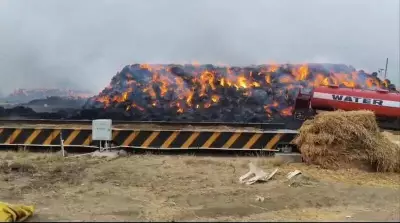 Nagpur Fire Incidents: Blazes Across City as Temperatures Rise, Crores in Losses