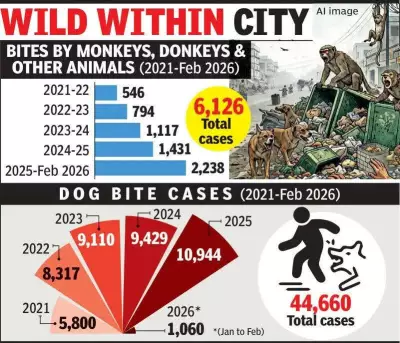 Nagpur's Rising Animal Bite Crisis: Over 6,000 Cases in 5 Years Signal Public Health Threat