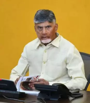 Naidu seeks central support for Andhra maize farmers amid falling prices
