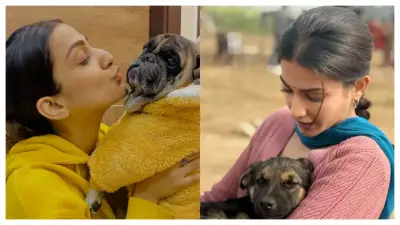 National Pet Day: Celebrating the Unconditional Love of Our Voiceless Companions