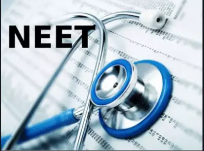NEET 2026 Countdown: PhysicsWallah Expert Reveals Crucial Last-Minute Strategy