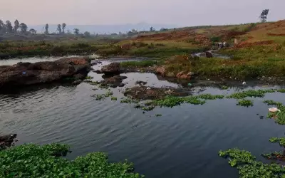 NGT Pune Slaps Rs 50.10 Lakh Fine on Sugar Factory for River Pollution
