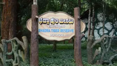NTCA Directive Blocks Karnataka's Push to Alter Bhadra Tiger Reserve Buffer Zone