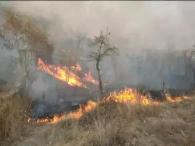 Odisha Forest Dept to Procure Motorcycle-Mounted Fire Blowers to Reduce Heat Exposure