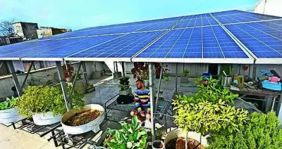 Over 800 NPCL Consumers in Greater Noida Get Zero Power Bills via Solar
