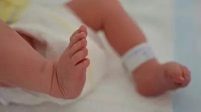 Parents Allege Baby's Death Due to Ant Bite in Mysuru Hospital