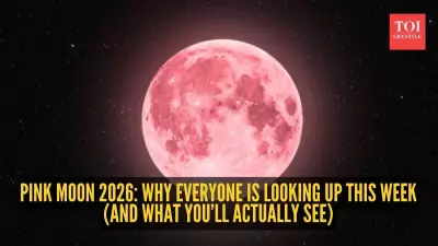 Pink Moon 2024: Peak Illumination Time, Science Behind Copper Glow & Holiday Impact