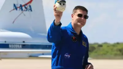 Plush Toys in Space: The Unsung Heroes of Zero Gravity Indicators