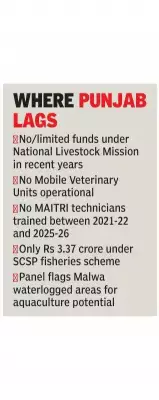 Punjab Excluded from Key Central Livestock and Fisheries Schemes, Committee Reports