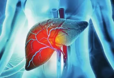 Punjab Expands Liver Disease Screening and Cashless Treatment Amid Rising Cases