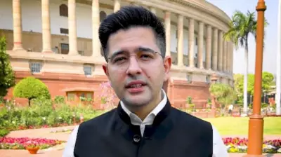 Punjab Government Withdraws Z-Plus Security Cover of MP Raghav Chadha