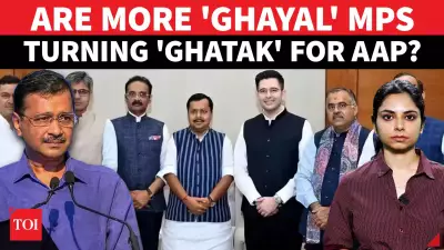 Raghav Chadha Fallout: Who Really Wins and Loses in Punjab?