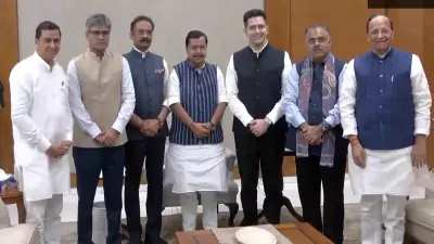 Raghav Chadha, Sandeep Pathak, Ashok Mittal Join BJP in Jolt to AAP